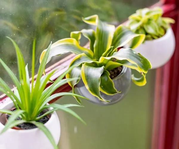 Au Coeur Des Remparts De Guerande: Pour 4 Apartment Guerande